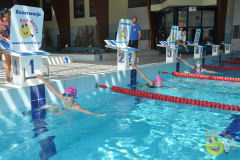 Obóz pływacko-językowy (Kozienice) - 2017